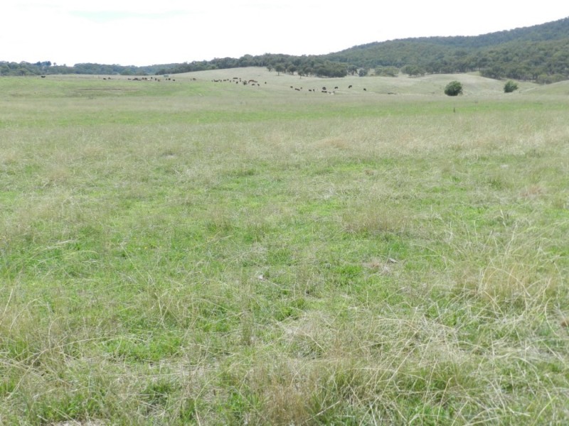 1694 Taralga Road, Goulburn NSW 2580