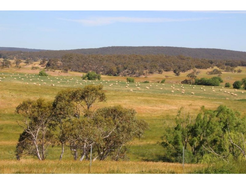 1694 Taralga Road, Goulburn NSW 2580