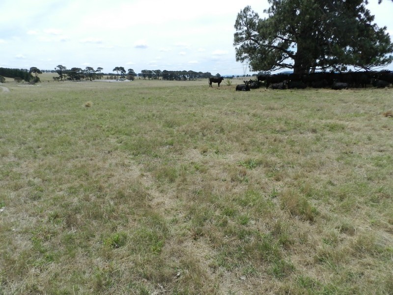 Lot 1 Windellama Road, Goulburn NSW 2580