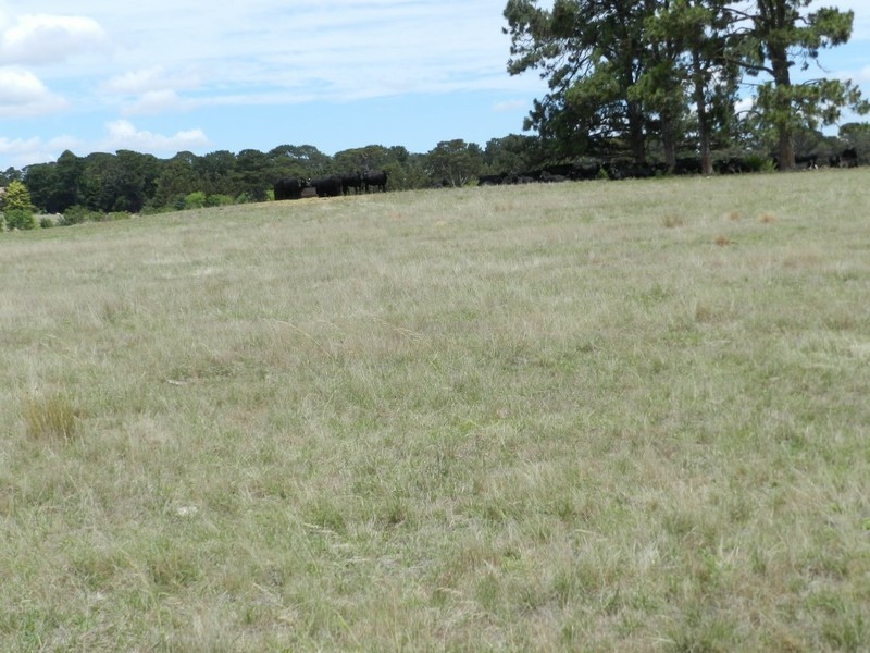 Lot 1 Windellama Road, Goulburn NSW 2580