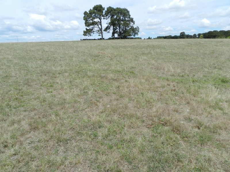 Lot 1 Windellama Road, Goulburn NSW 2580