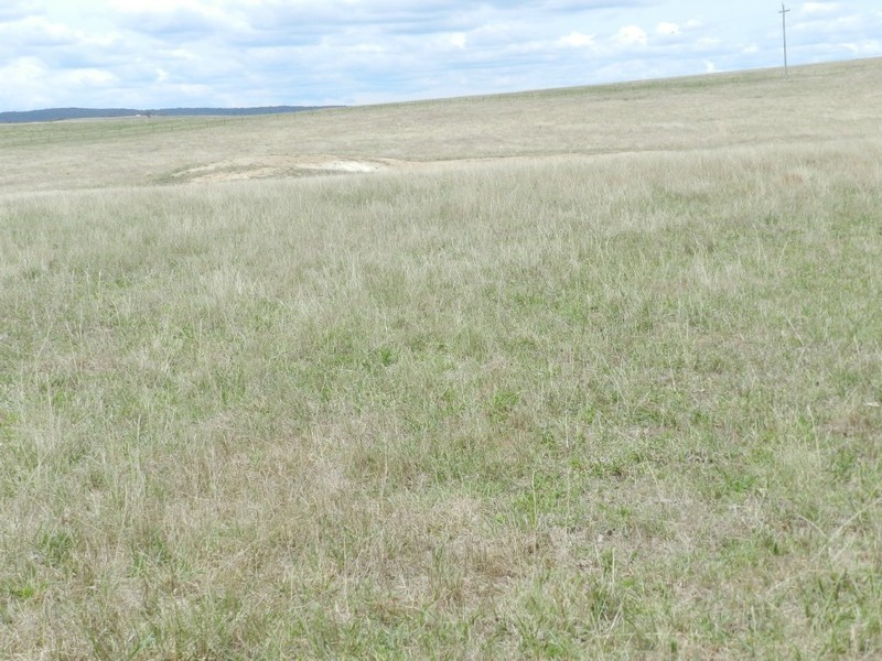 Lot 1 Windellama Road, Goulburn NSW 2580