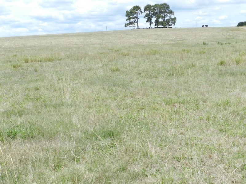 Lot 1 Windellama Road, Goulburn NSW 2580