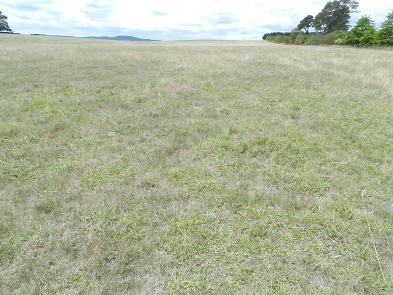 Lot 2 Windellama Road, Goulburn NSW 2580