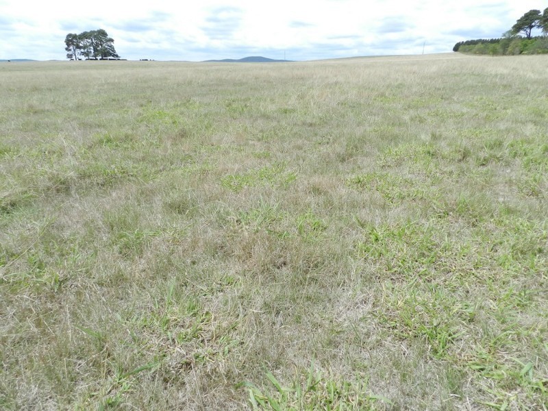 Lot 2 Windellama Road, Goulburn NSW 2580