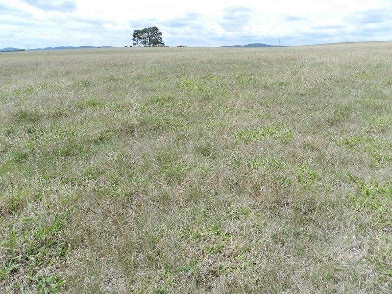 Lot 2 Windellama Road, Goulburn NSW 2580