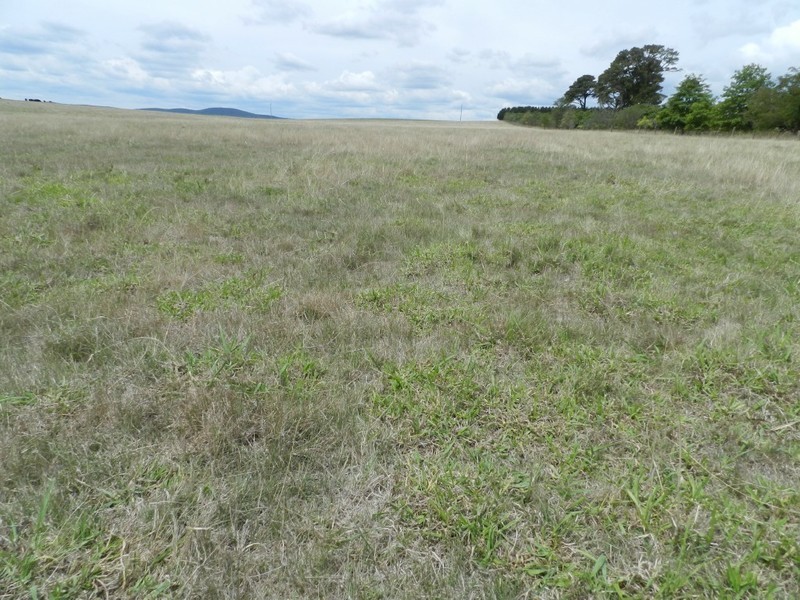 Lot 2 Windellama Road, Goulburn NSW 2580