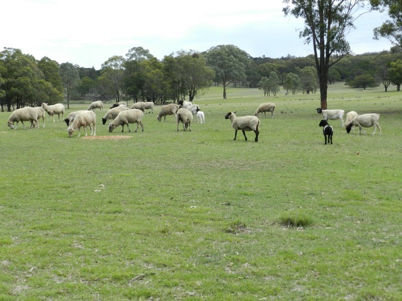 667 Readers Road, Goulburn NSW 2580