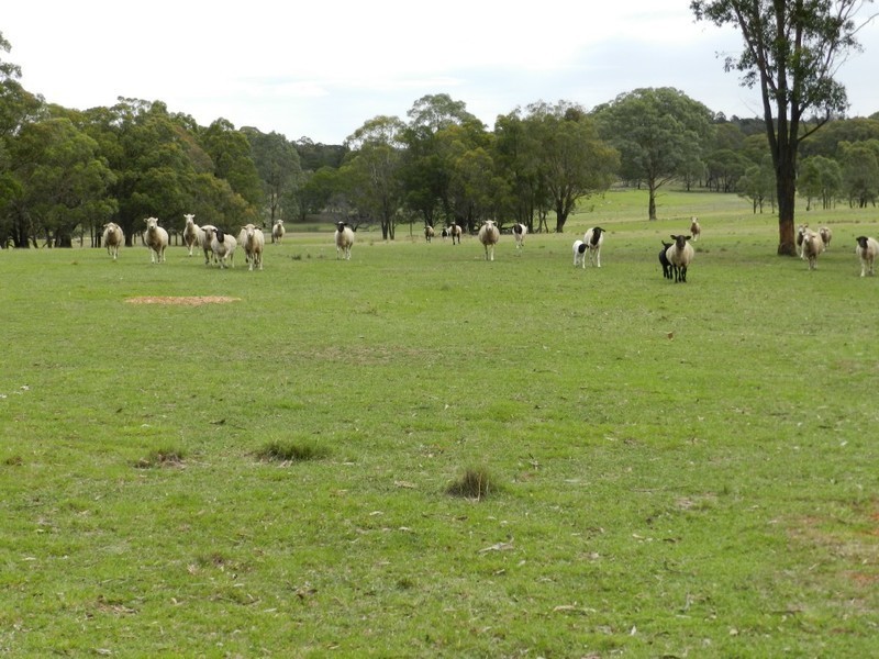 667 Readers Road, Goulburn NSW 2580