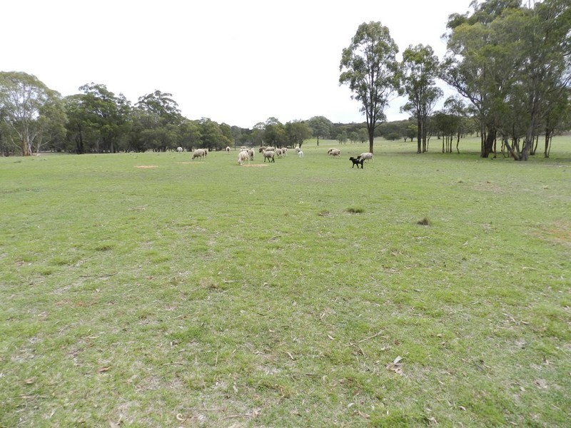 667 Readers Road, Goulburn NSW 2580