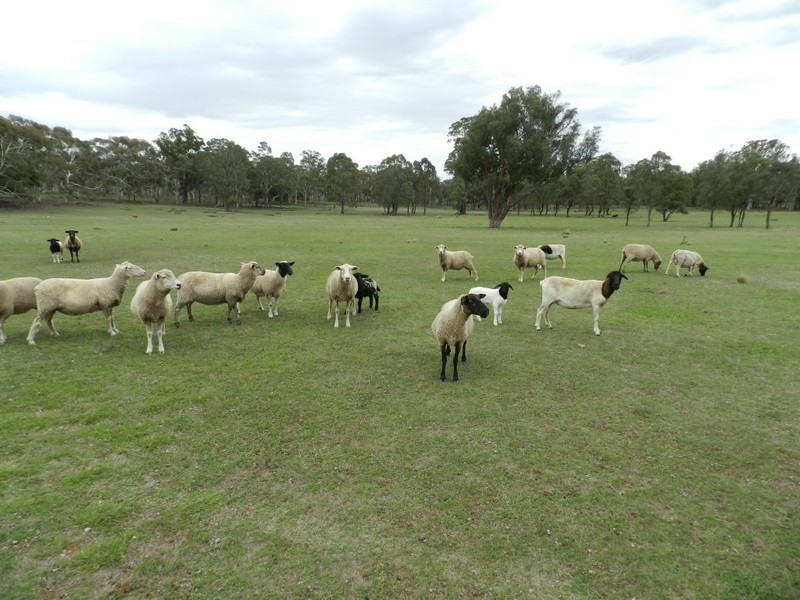 667 Readers Road, Goulburn NSW 2580