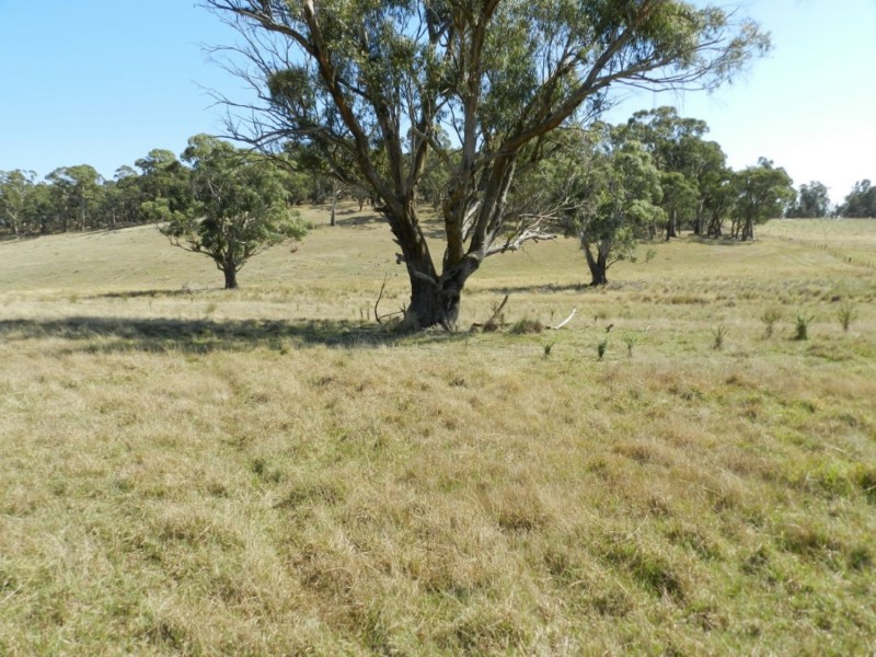 Lot 2 Golspie Road, Taralga NSW 2580