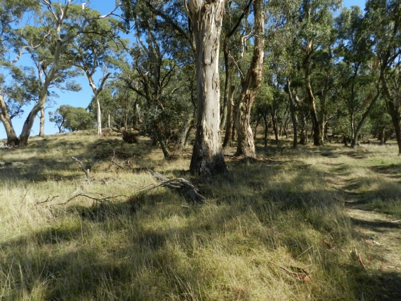 Lot 2 Golspie Road, Taralga NSW 2580
