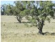 Lot 2 Golspie Road, Taralga NSW 2580