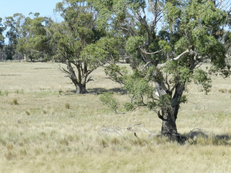 Lot 2 Golspie Road, Taralga NSW 2580