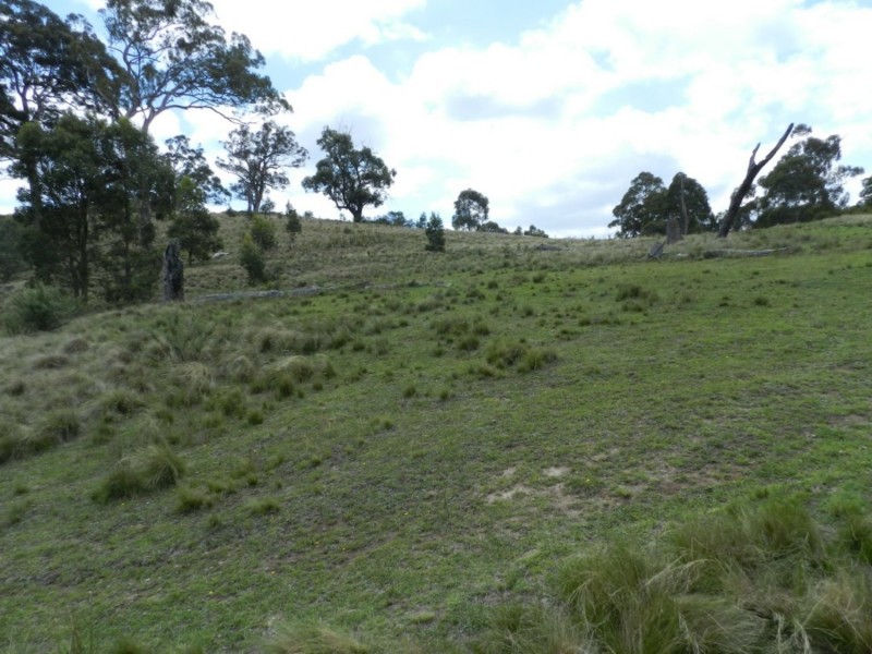 330 Rocklilly Road, Taralga NSW 2580