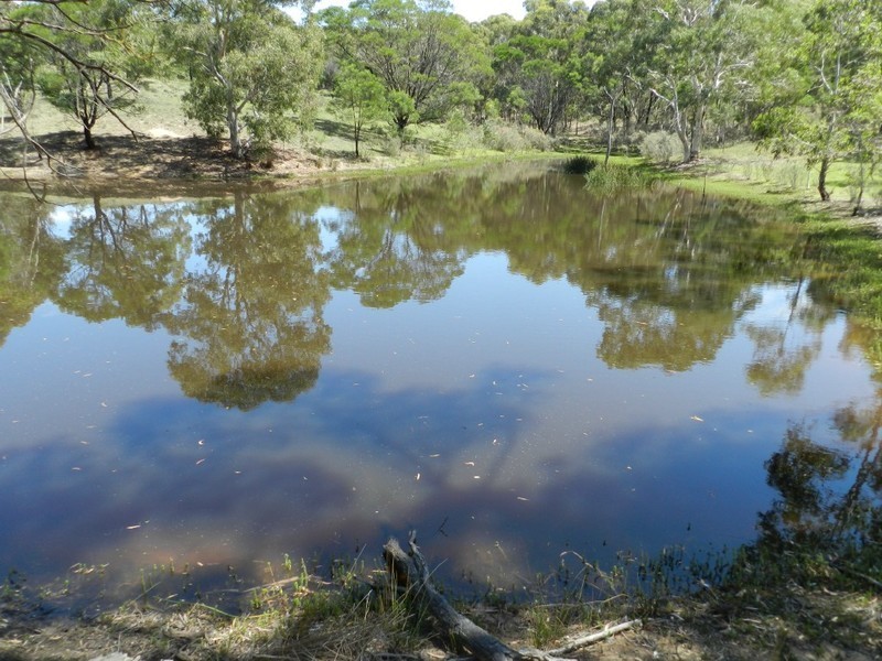 752  Kooringaroo Road, Goulburn NSW 2580