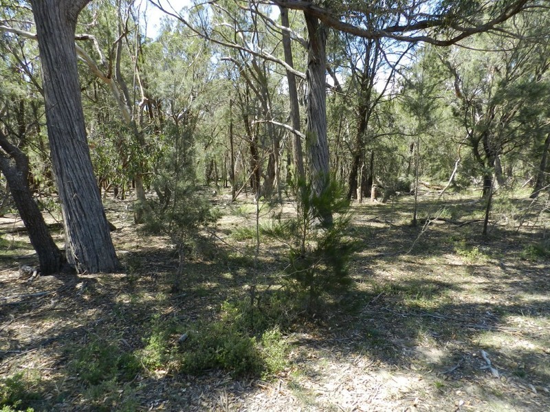 752  Kooringaroo Road, Goulburn NSW 2580