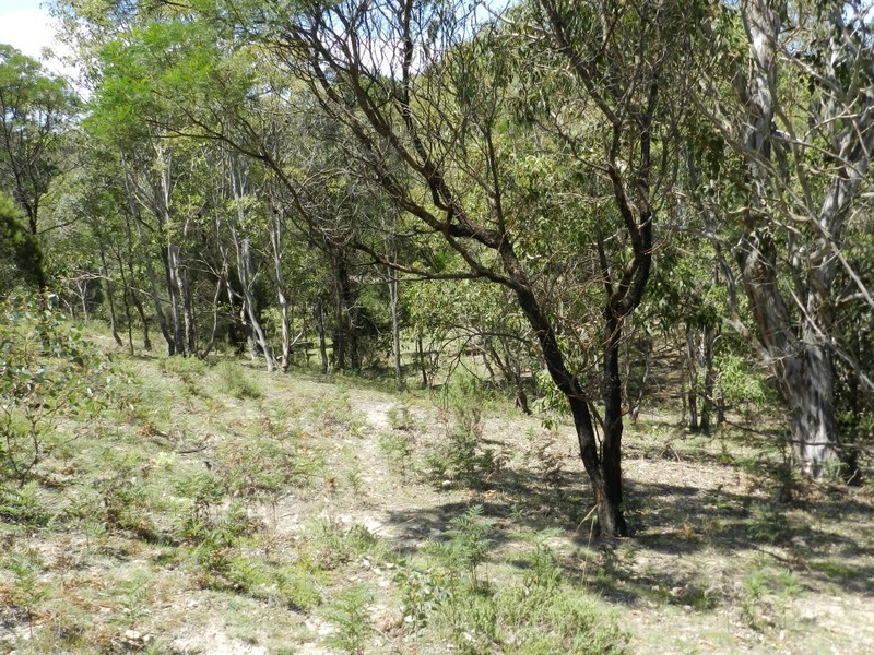 752  Kooringaroo Road, Goulburn NSW 2580