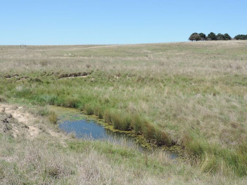 3150 Golspie Road, Laggan NSW 2583