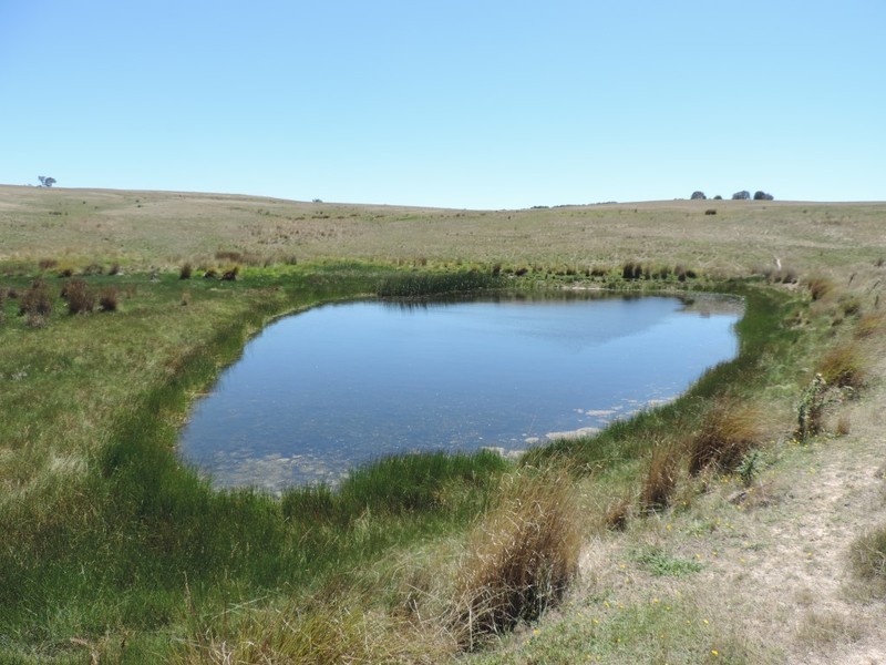 3150 Golspie Road, Laggan NSW 2583