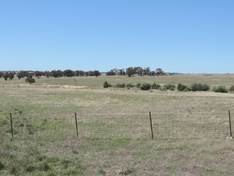 3150 Golspie Road, Laggan NSW 2583