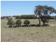 3150 Golspie Road, Laggan NSW 2583
