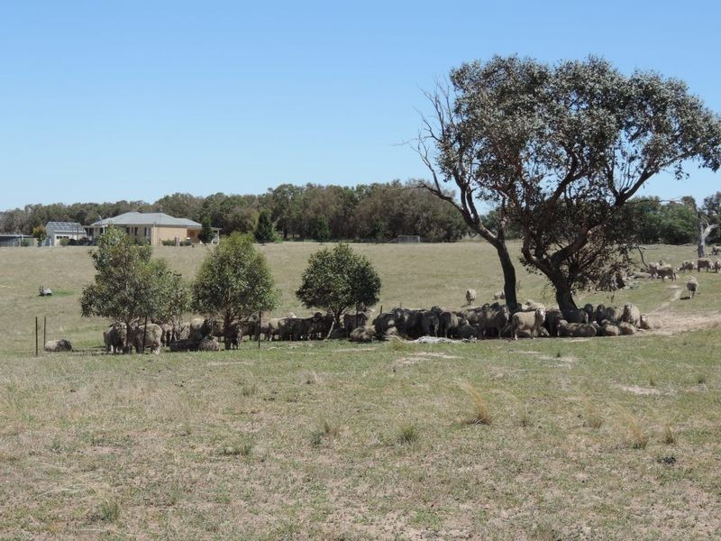 3150 Golspie Road, Laggan NSW 2583