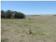 3150 Golspie Road, Laggan NSW 2583