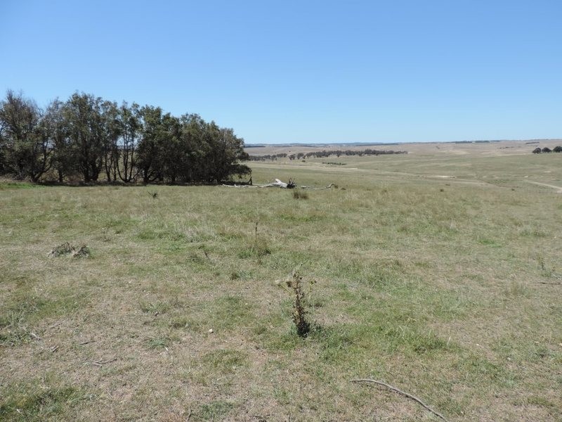 3150 Golspie Road, Laggan NSW 2583