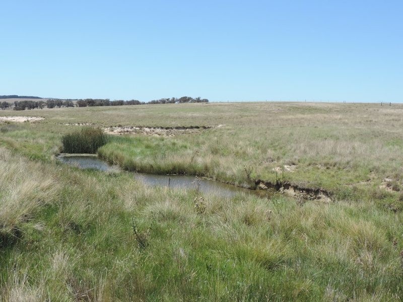 3150 Golspie Road, Laggan NSW 2583