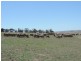 3150 Golspie Road, Laggan NSW 2583