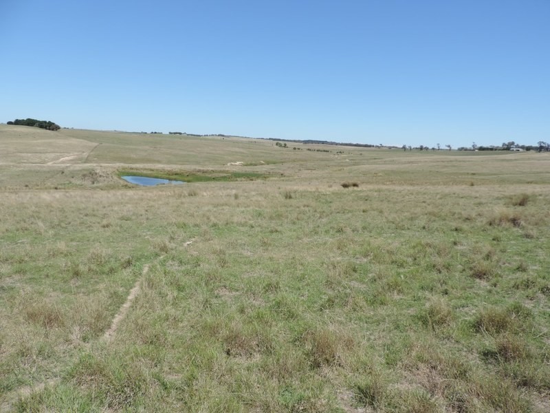 3150 Golspie Road, Laggan NSW 2583