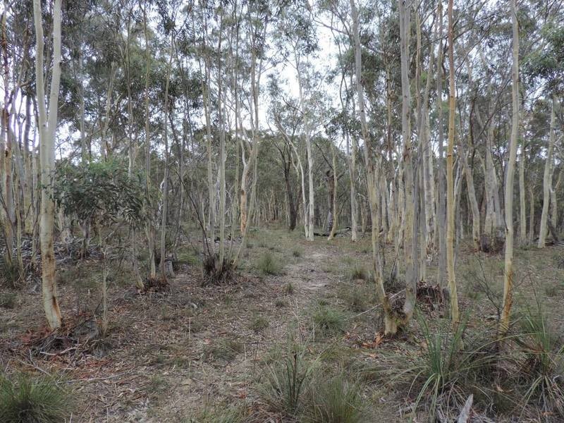 27 Galey Flat Road, Windellama NSW 2580