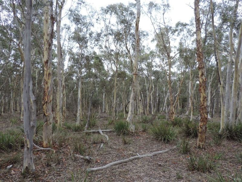 27 Galey Flat Road, Windellama NSW 2580