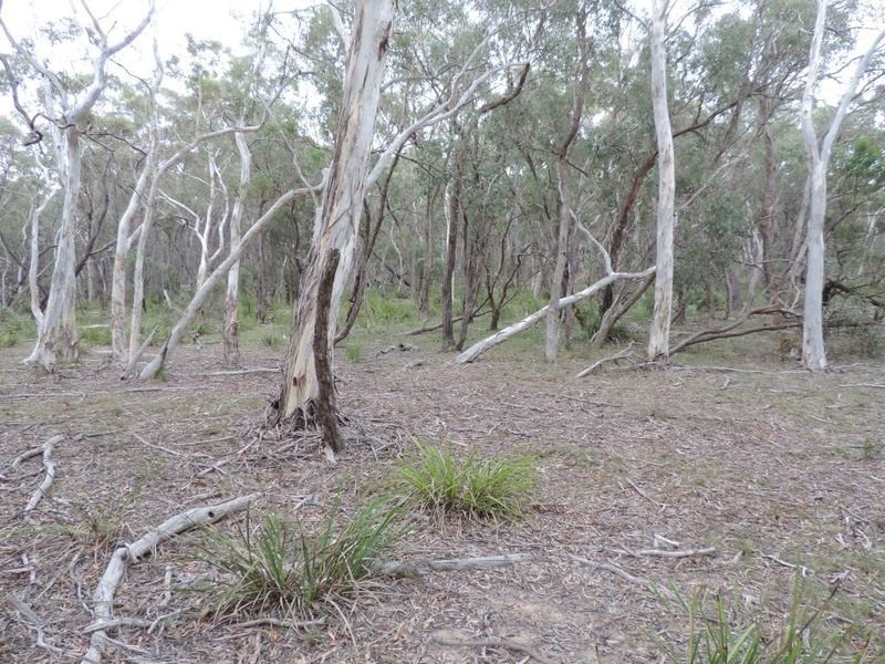 27 Galey Flat Road, Windellama NSW 2580