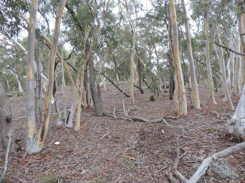 27 Galey Flat Road, Windellama NSW 2580