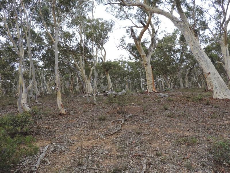 27 Galey Flat Road, Windellama NSW 2580