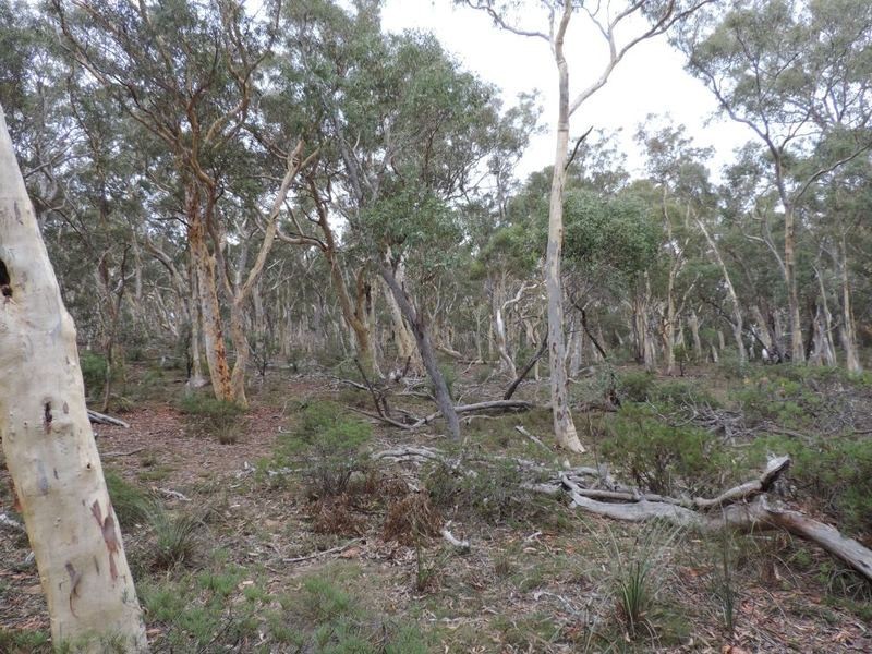 27 Galey Flat Road, Windellama NSW 2580