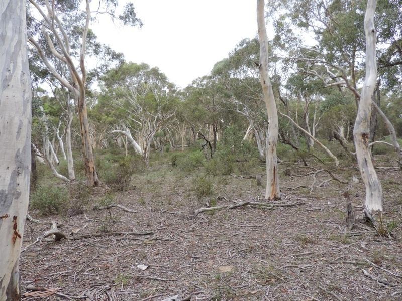 27 Galey Flat Road, Windellama NSW 2580