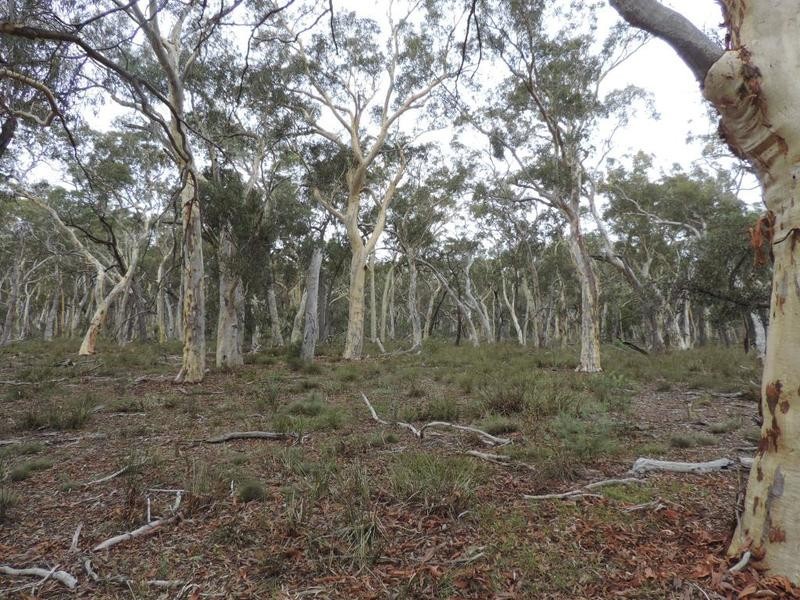 27 Galey Flat Road, Windellama NSW 2580