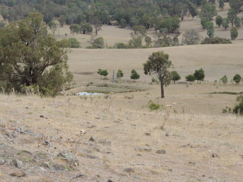 Lot 1 Mulgowrie Road, Binda NSW 2583