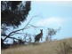 Lot 1 Mulgowrie Road, Binda NSW 2583