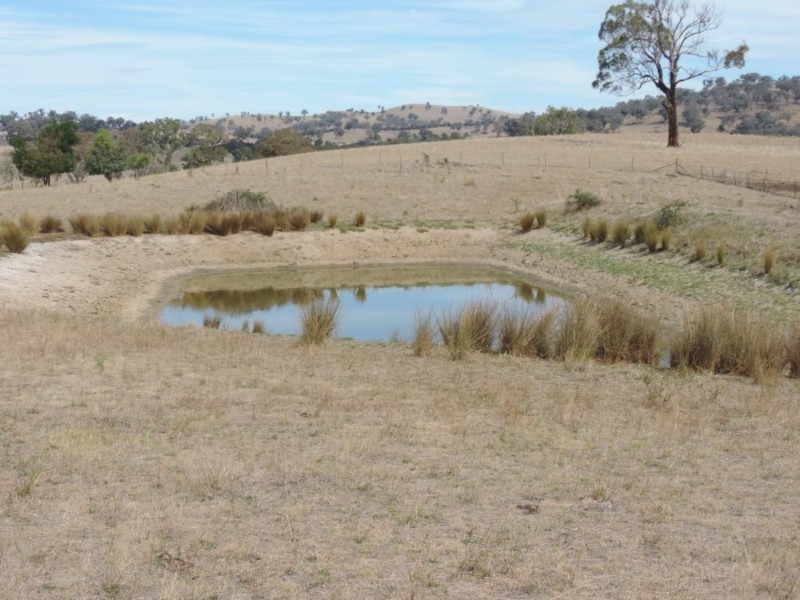 Lot 1 Mulgowrie Road, Binda NSW 2583