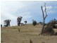 Lot 1 Mulgowrie Road, Binda NSW 2583