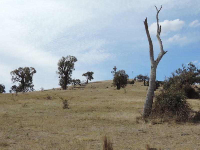 Lot 1 Mulgowrie Road, Binda NSW 2583