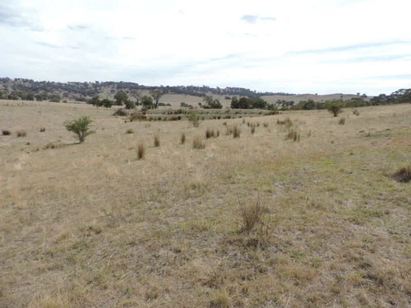 Lot 1 Mulgowrie Road, Binda NSW 2583