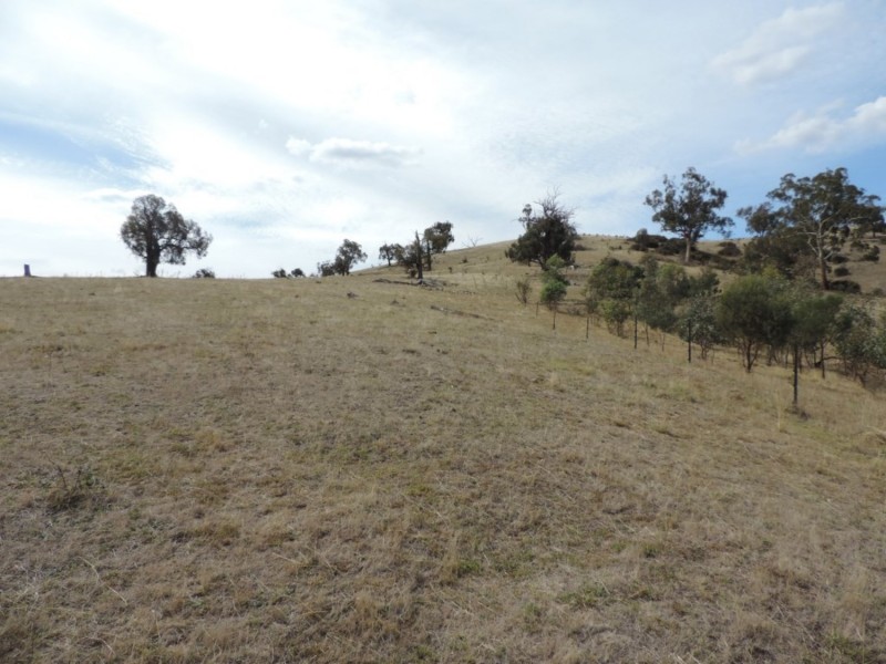 Lot 1 Mulgowrie Road, Binda NSW 2583
