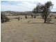 Lot 1 Mulgowrie Road, Binda NSW 2583