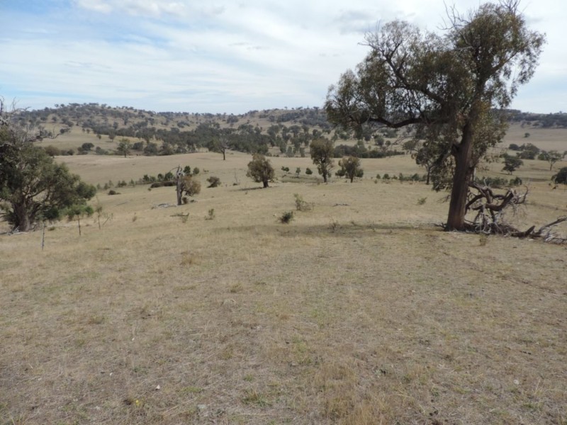 Lot 1 Mulgowrie Road, Binda NSW 2583